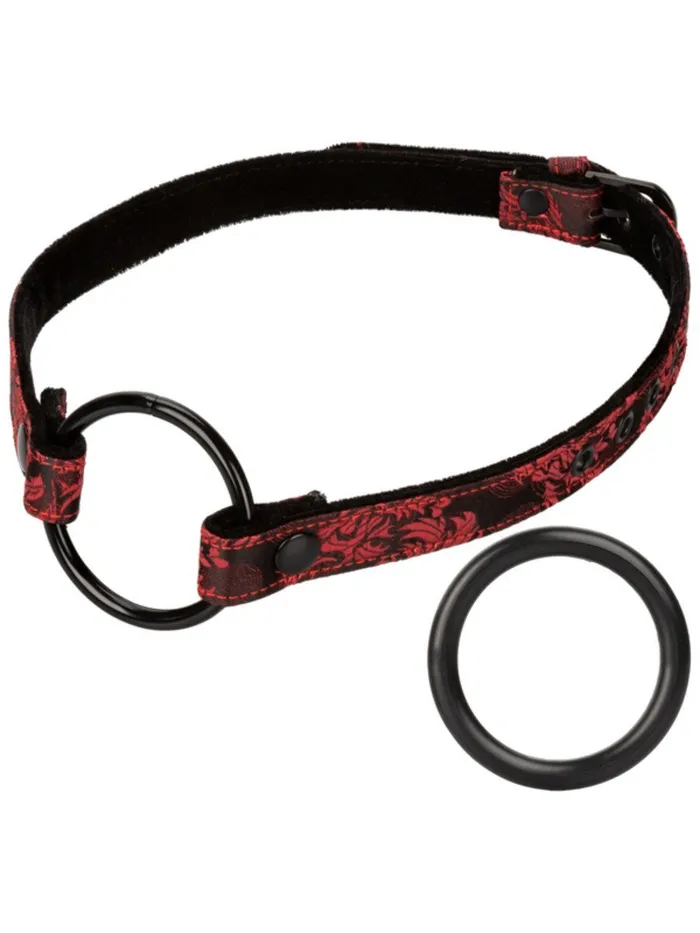 CALIFORNIA EXOTIC NOVELTIES Vibrators Scandal Wide Open Mouth Gag