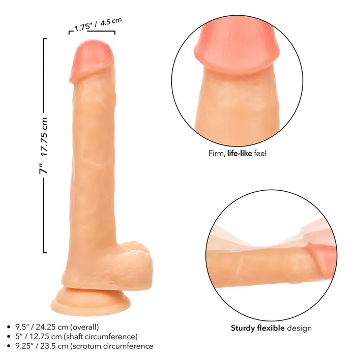 Working Stiff the Cabana Boy 7 inches Dildo Ivory CalExotics Dildos Working Stiff the Cabana Boy 7 inches Dildo Ivory CalExotics Dildos