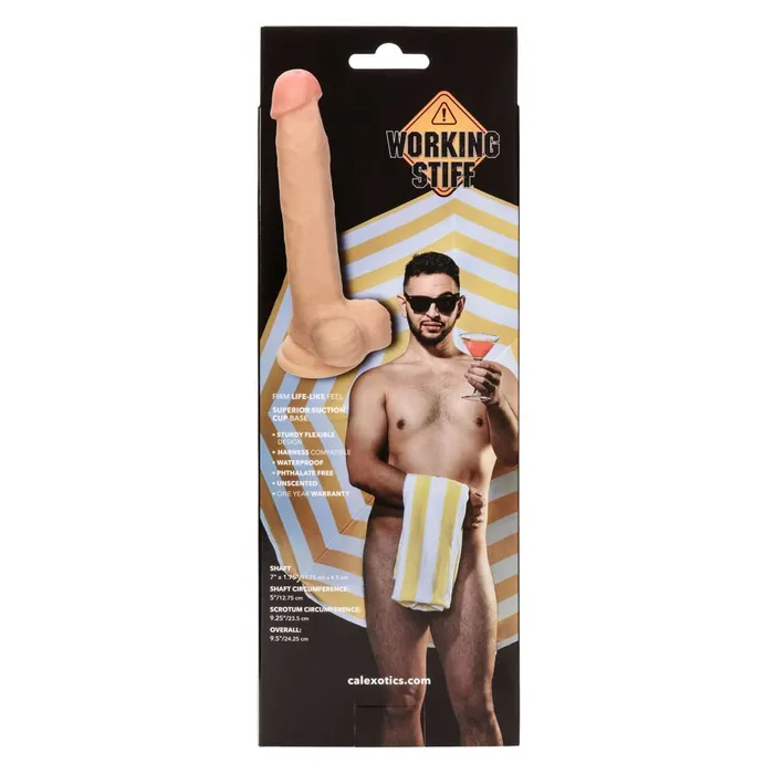 Working Stiff the Cabana Boy 7 inches Dildo Ivory CalExotics Dildos Working Stiff the Cabana Boy 7 inches Dildo Ivory CalExotics Dildos